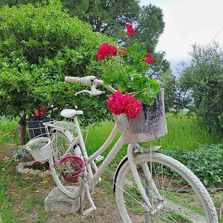 Apartment Corfu Lakeside